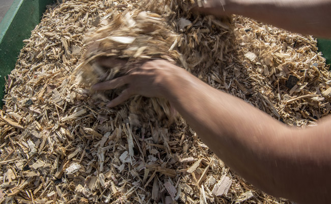 hout-recycling